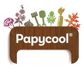 logo Papycool