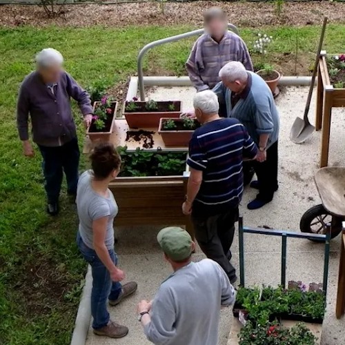 personnes âgées qui plantent des légumes dans le potager sur pieds